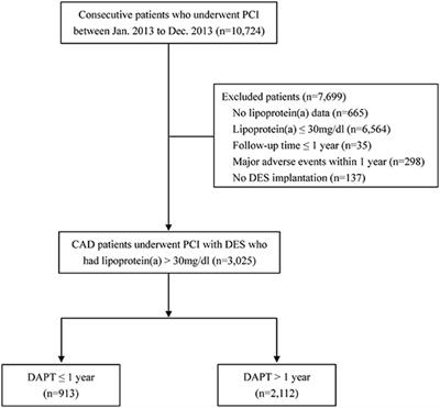 Benefit and Risk of Prolonged Dual Antiplatelet Therapy After Percutaneous Coronary Intervention With Drug-Eluting Stents in Patients With Elevated Lipoprotein(a) Concentrations